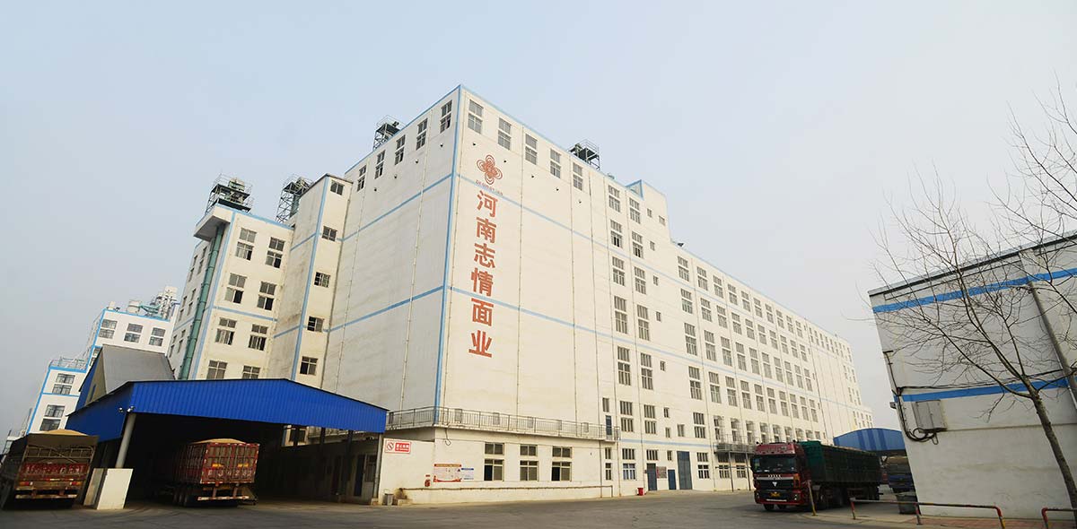 الصين 1400TPD مصنع طحن القمح