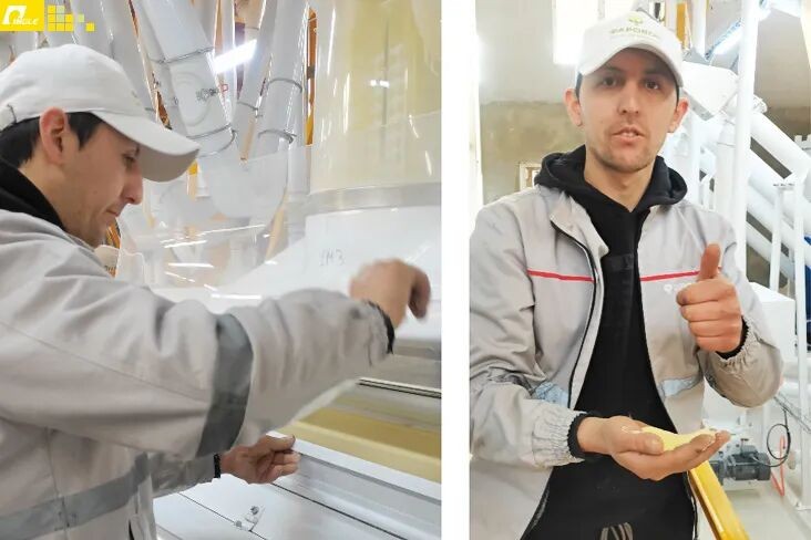 حلول مخصصة تقود نجاح العملاء